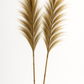 Handmade Pampas Decorative Leaf - Natural Woven Wall or Floor Accent with bamboo stem