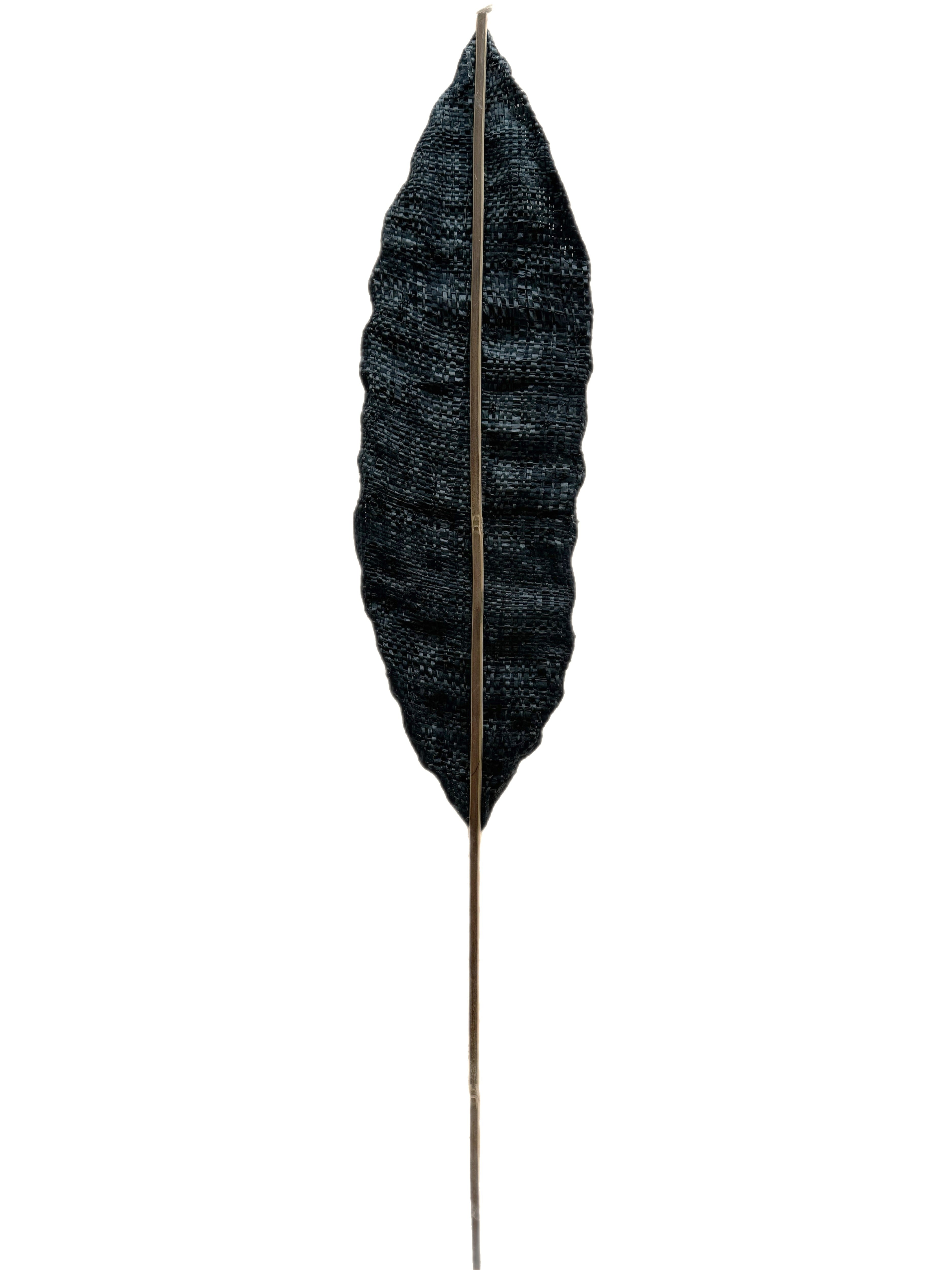 パームリーフオブジェ　PALM LEAF OBJET L wtw パームリーフオブジェ PALM LEAF OBJET L wtw Amazon.com: Palm Leaves