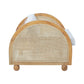 Pensy Rattan and Teak Wood Armchair with Cushion